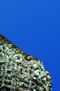 ManateeWoman.com